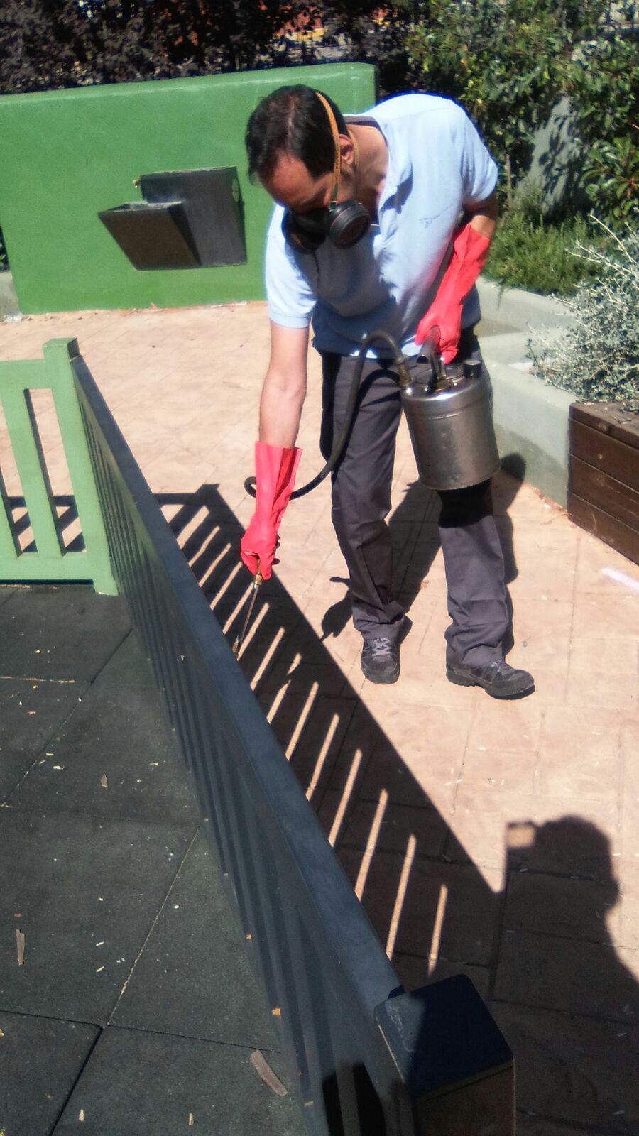 Campaña fumigación Constantina junio 2017 (42)