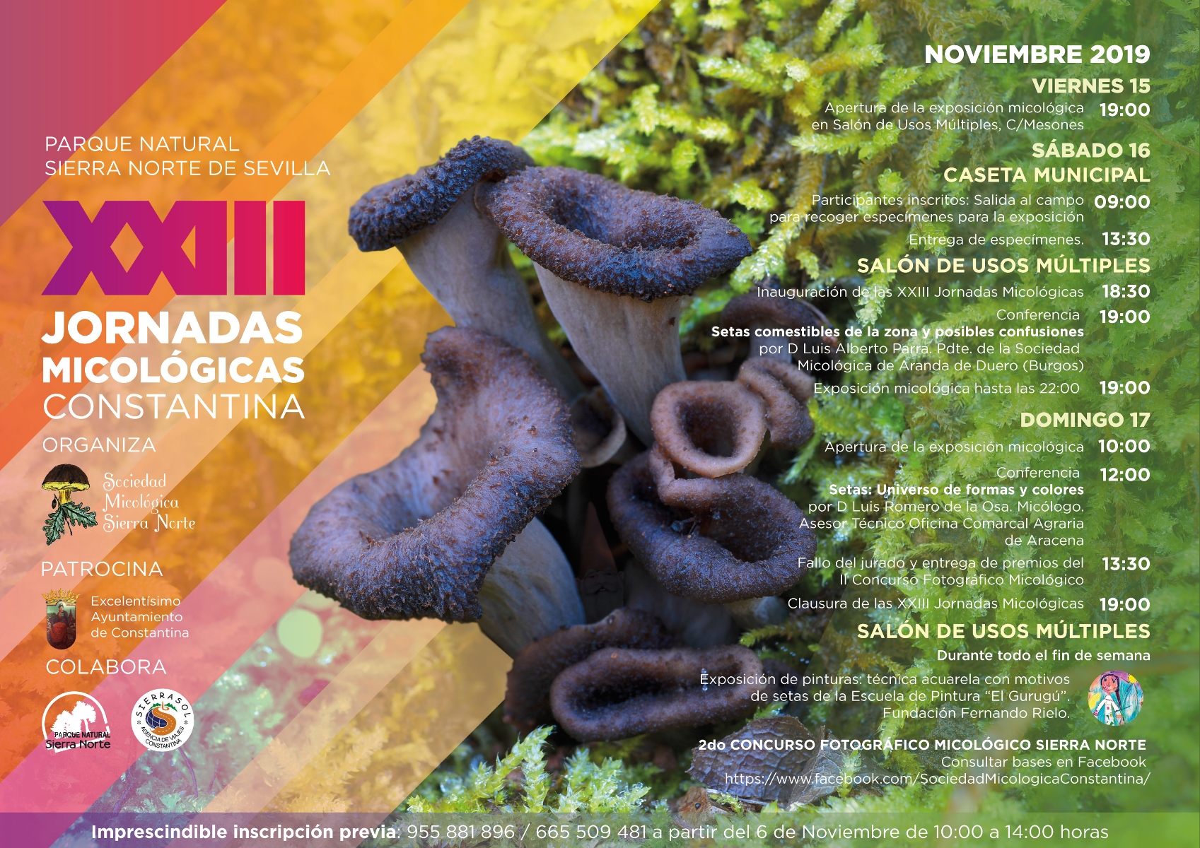 Jornadas Micológicas Constantina 2019