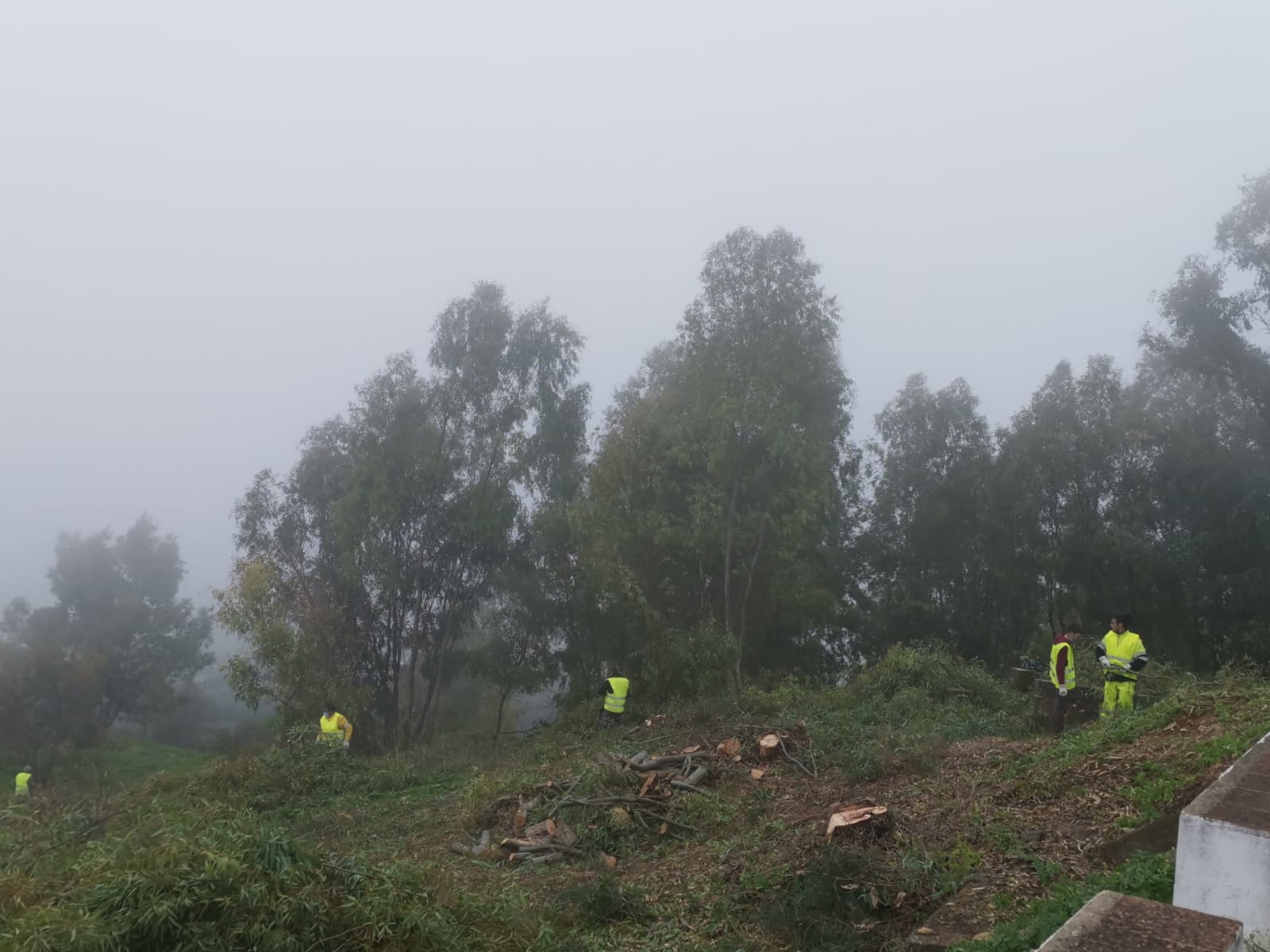 WhatsApp Image 2020-11-25 at 23.12.07 (1)