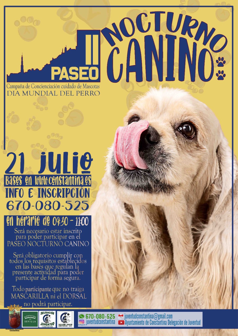 PASEO NOCTURNO CANINO