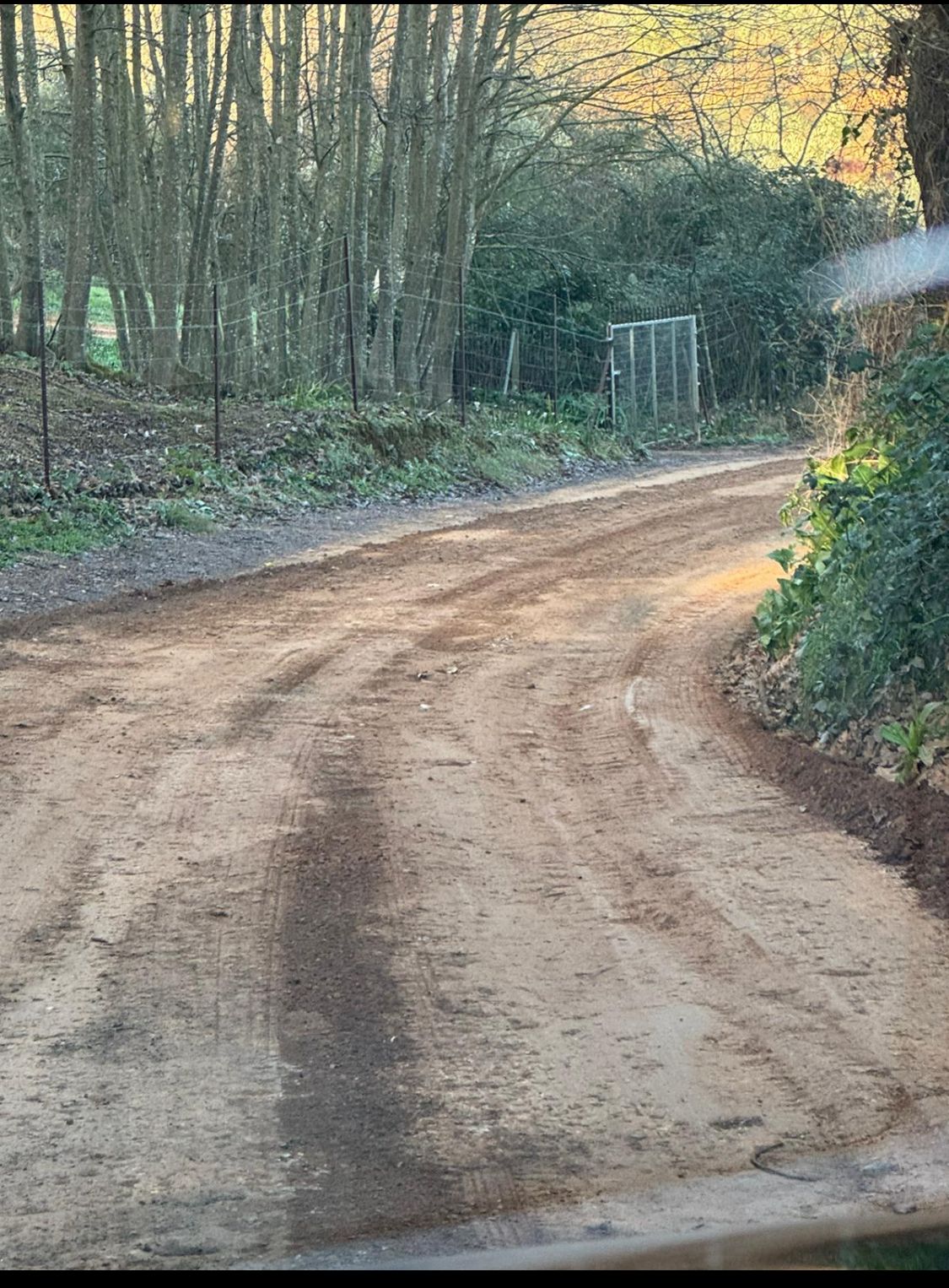 WhatsApp Image 2024-02-05 at 11.48.32 (3)