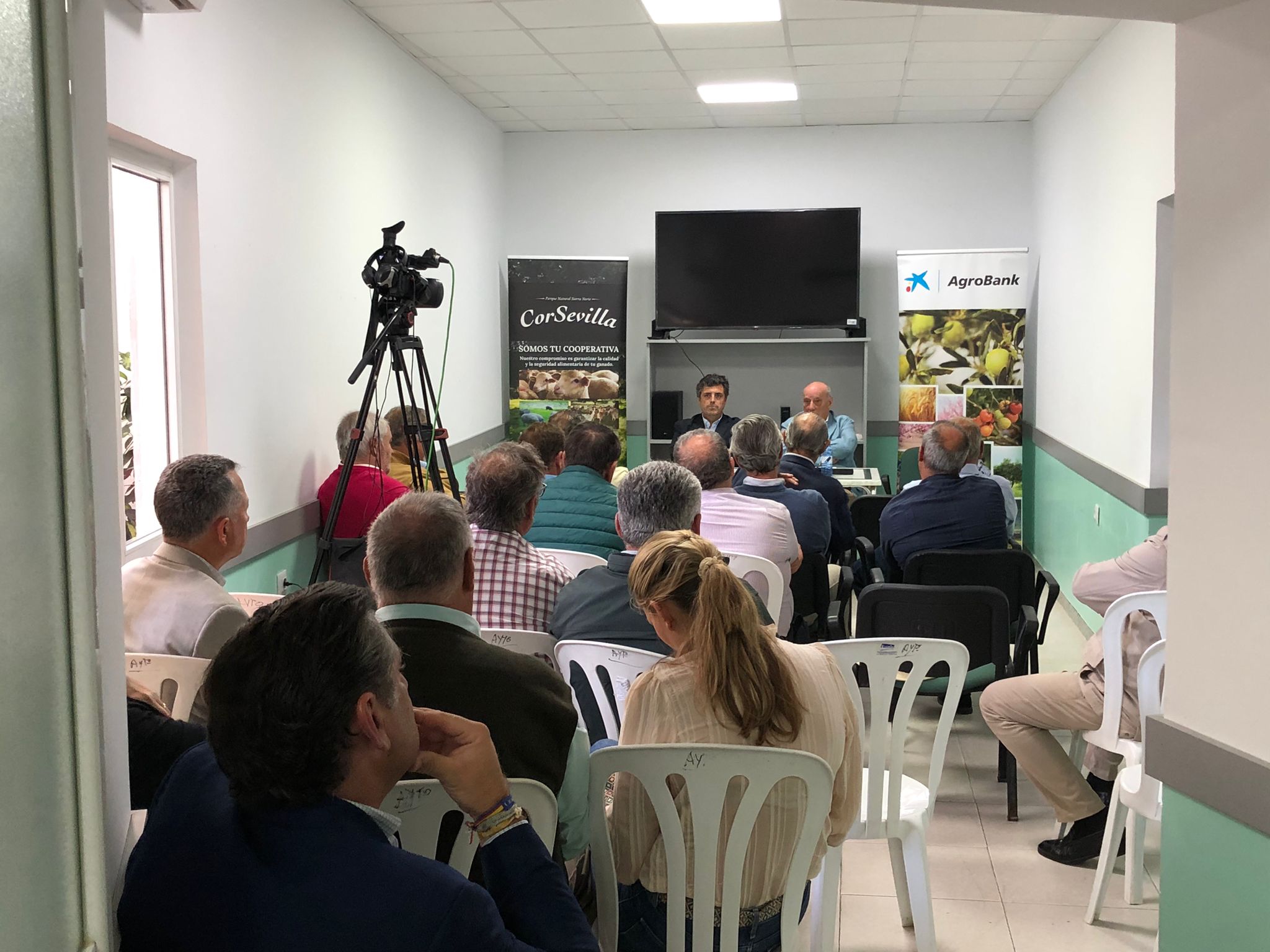 WhatsApp Image 2024-05-17 at 14.15.56