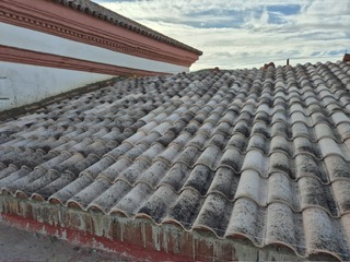 WhatsApp Image 2024-12-20 at 10.55.26 (6)