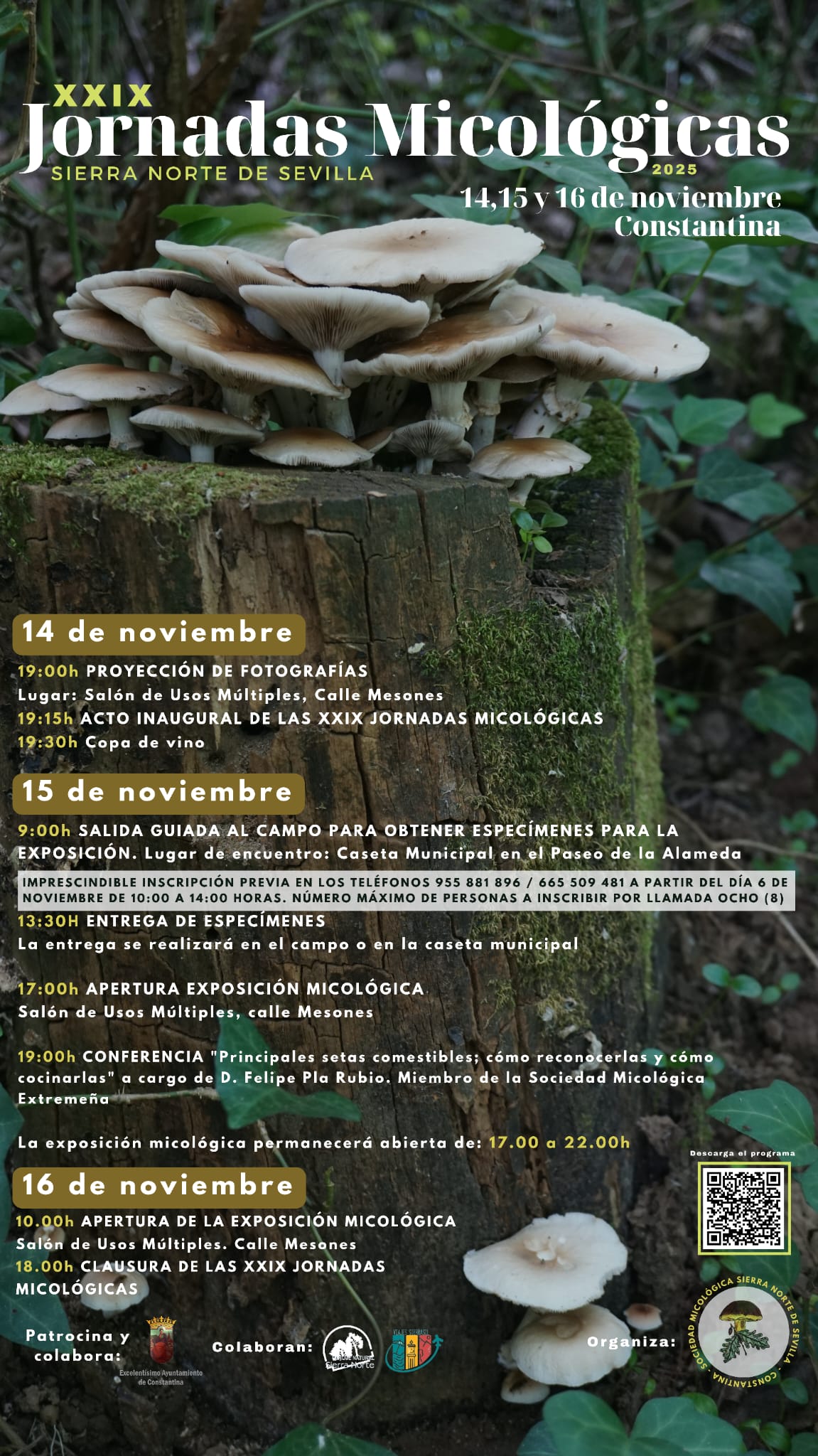 WhatsApp Image 2025-10-26 at 08.34.25 (1)