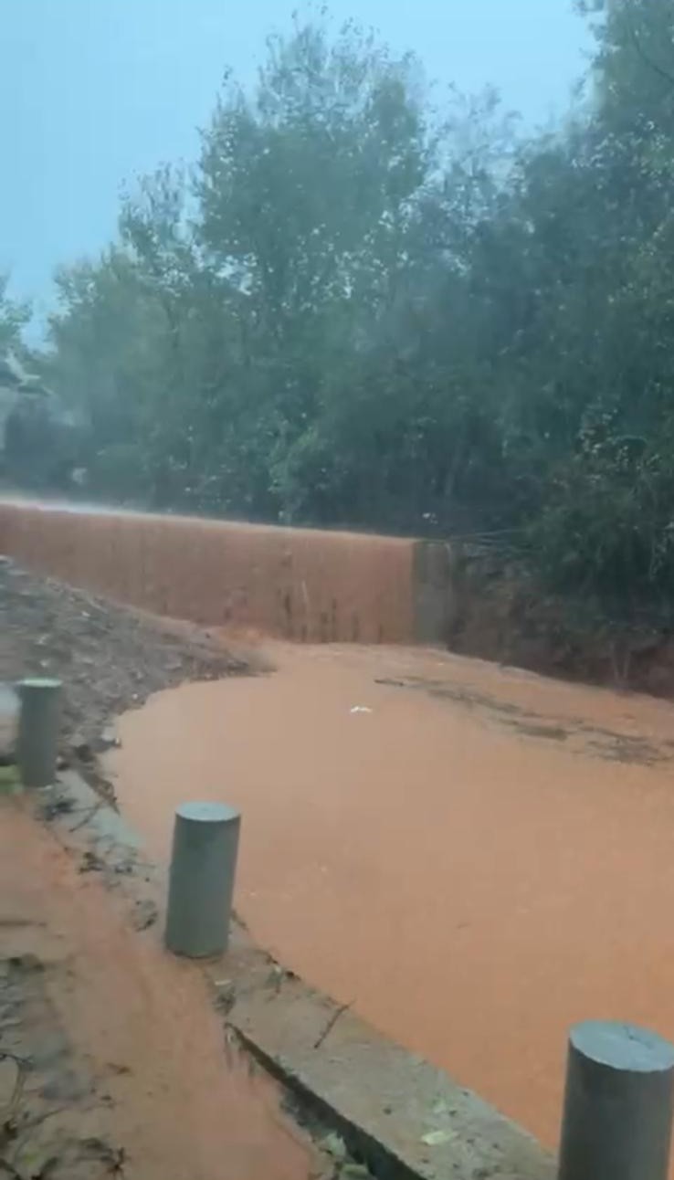 WhatsApp Image 2025-11-19 at 14.43.40