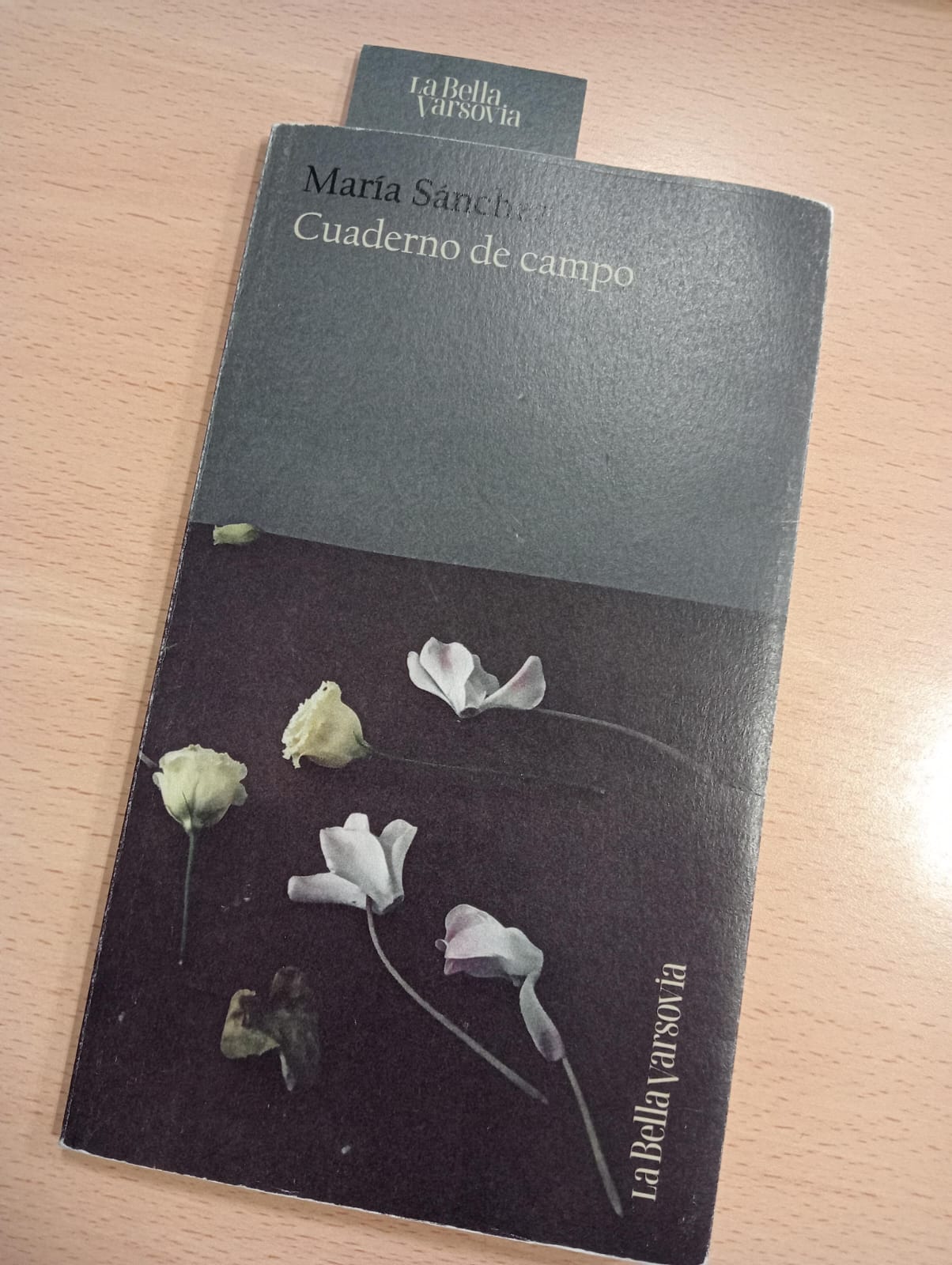 WhatsApp Image 2026-01-13 at 09.48.37