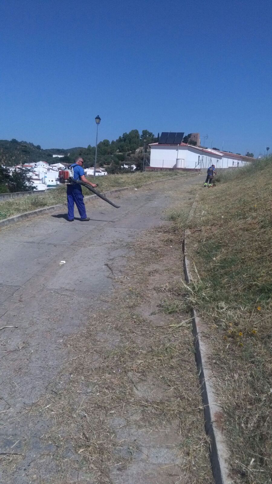 tareas desbroce junio 2017 (7)