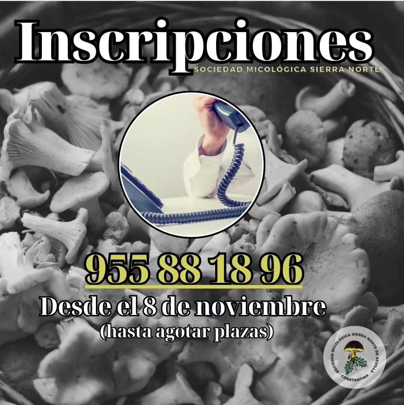 391733069_727978229373584_3650915493923757987_n