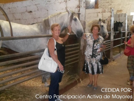 CPAM Constantina 2013_Viaje Puebla Río-3