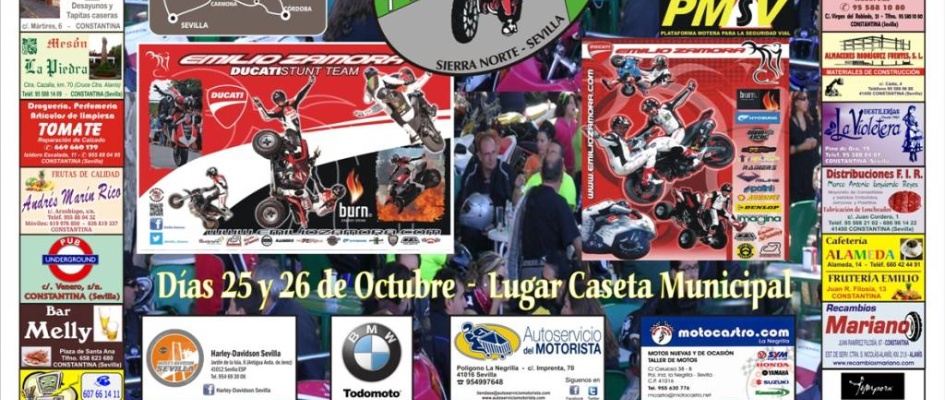 Concentración Moetra Constantina gambrinus 2014