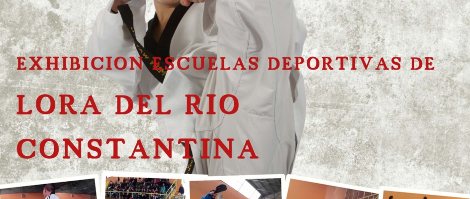 Exhibición taekwondo Constantina 2016