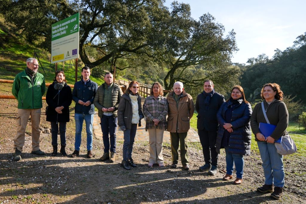 Foto de: Aljarafe y Más