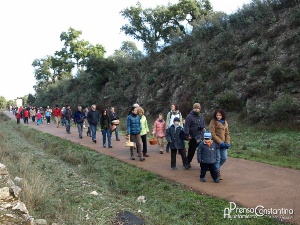 Jornadas Micológicas Constantina 2013-18