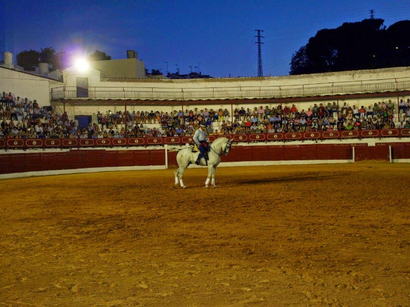 PLAZA TOROS CONSTANTINA