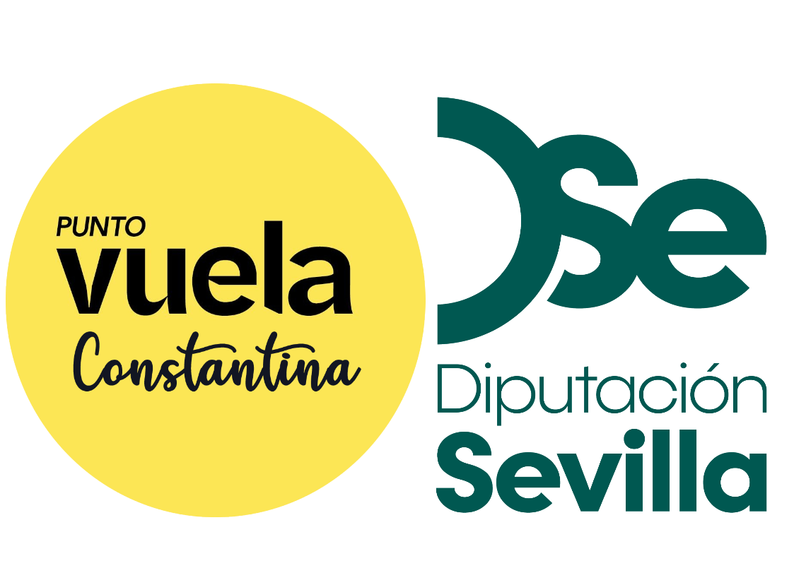PUNTO VUELA CONSTANTINA DIPUTACIÓN SEVILLA SUBVENCIÓN