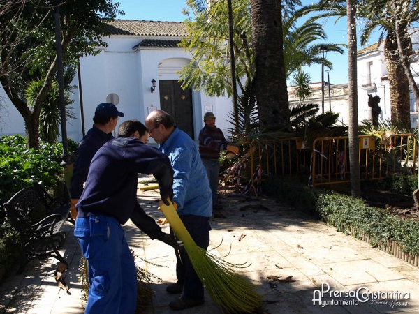Tratamiento picudo rojo Constantina 2014-7