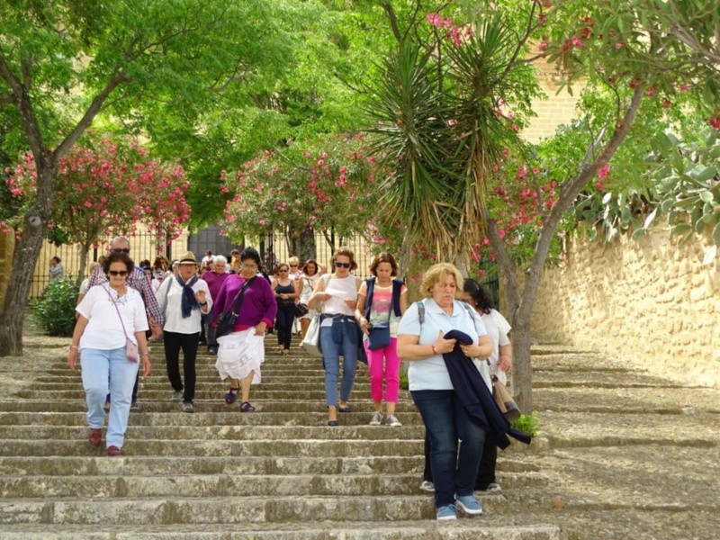 Viaje Osuna dinamización Constantina mayo 2017 (8)