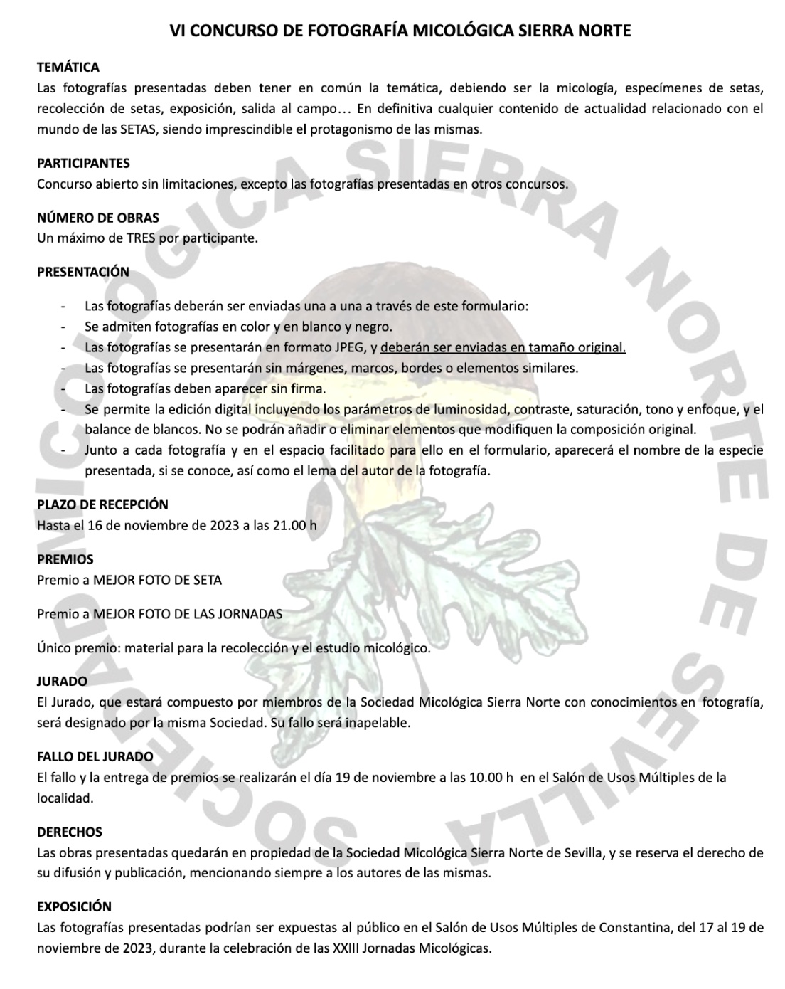 concurso fotografía micológica constantina 2023 BASES