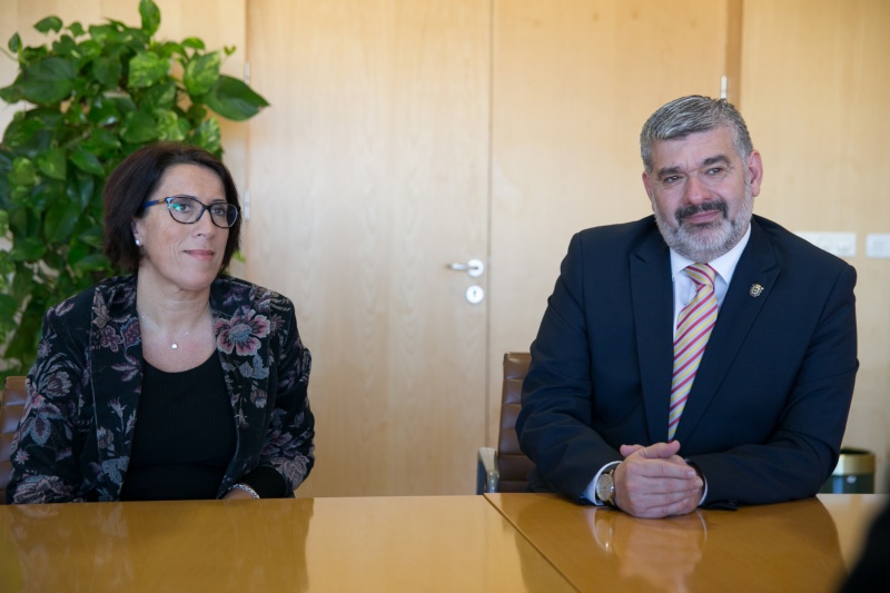 dipusevilla colegio médicos3