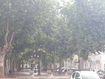 FOTO DE DANI MURILLO