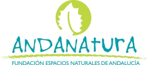 logo_andanatura_trazado