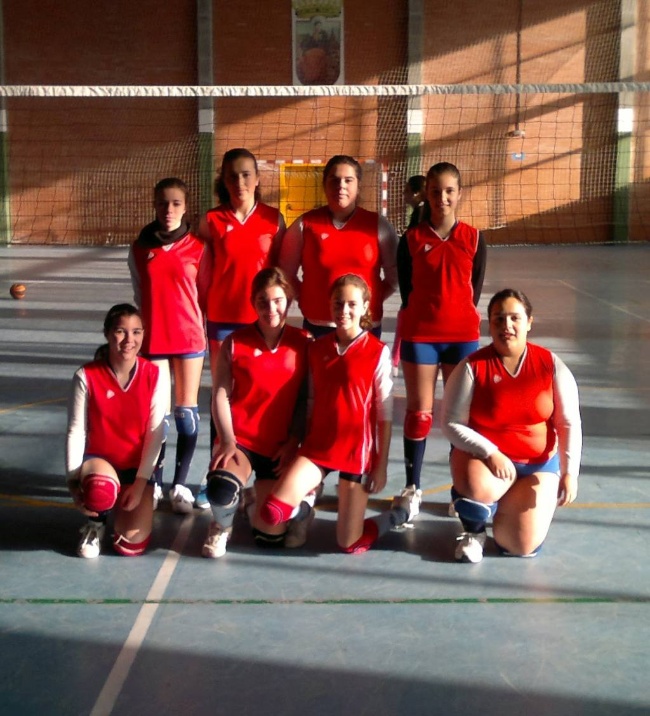 voleibol3
