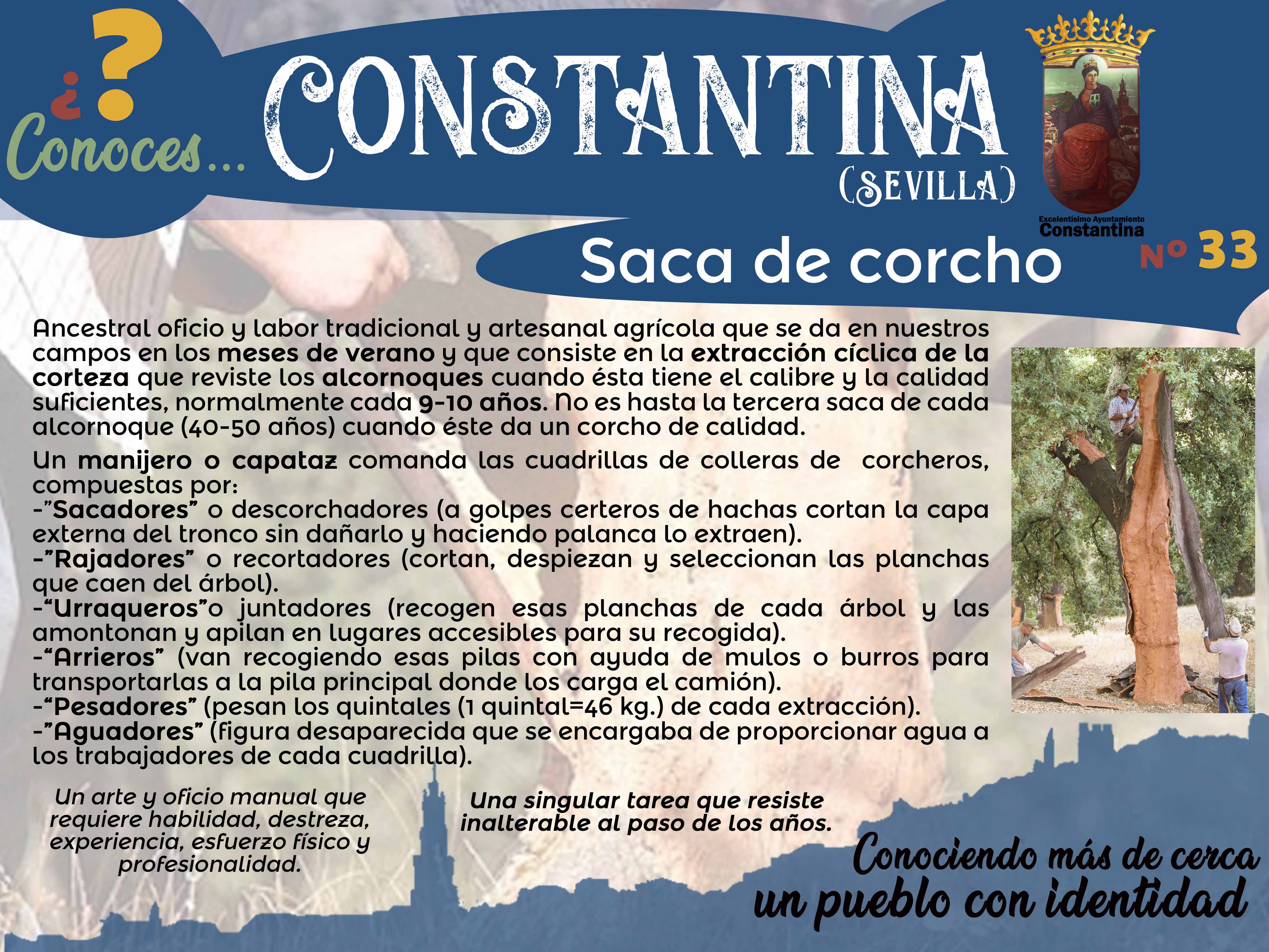 33 Saca de Corcho Constantina
