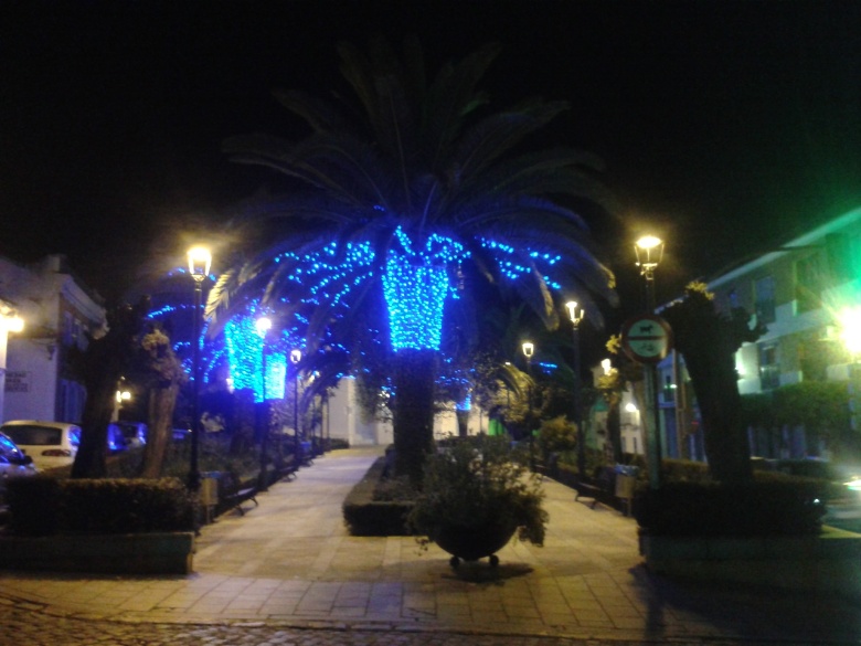 Alumbrado Navidad 2014 (3)