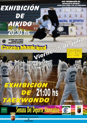 EXHIBICION aikido y TAEKWONDO