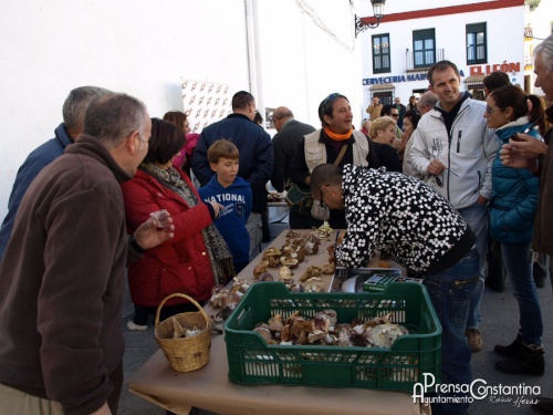 Feria Mosto Constantina 2013-2