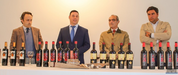 Feria del Vino_Constantina 2018-39