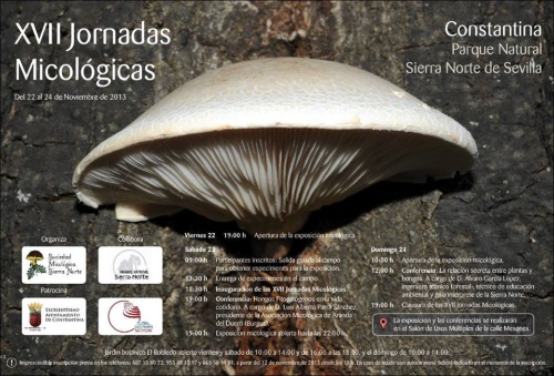 JORNADAS MICOLÓGICAS CONSTANTINA 2013_CARTEL