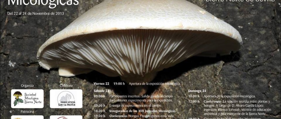 JORNADAS_MICOLxGICAS_CONSTANTINA_2013_CARTEL.jpg