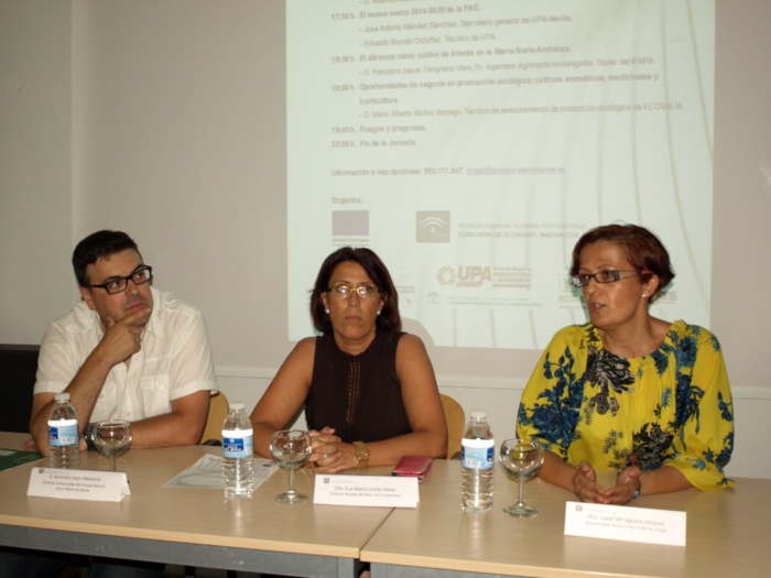 Jornada Cultivos Innovadores Constantina 2014