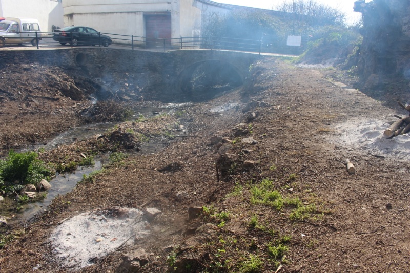 Limpieza Río Villa PFOEA 2019_3