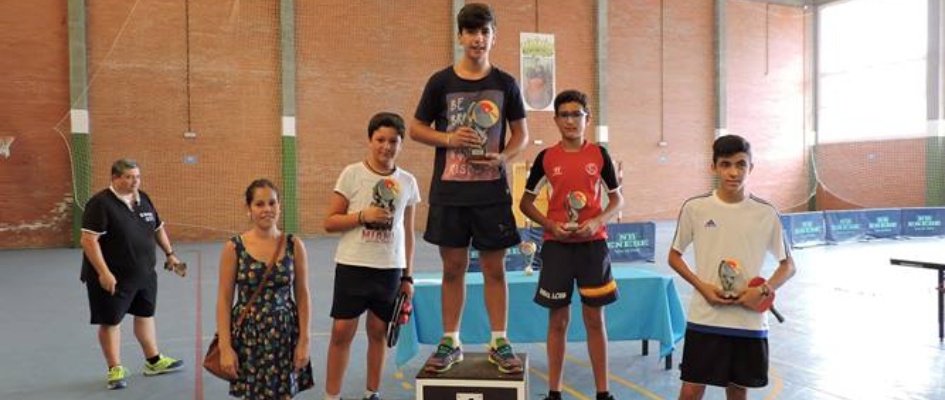 Torneo_Tenis_de_Mesa_2015.jpg