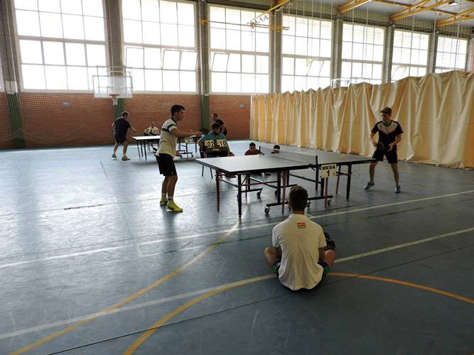 Torneo Tenis de Mesa 2015