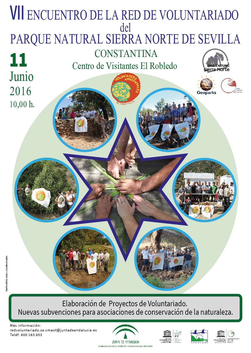 VII Encuentro Red Voluntariado