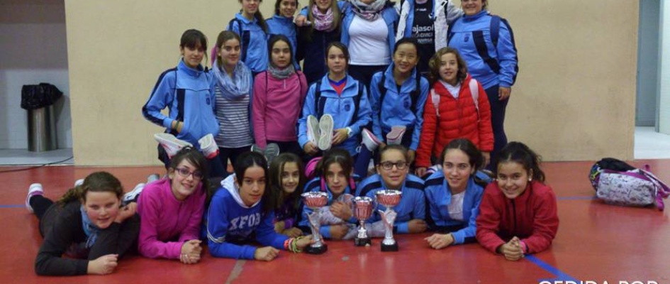 Voleibol Constantina 2014-1