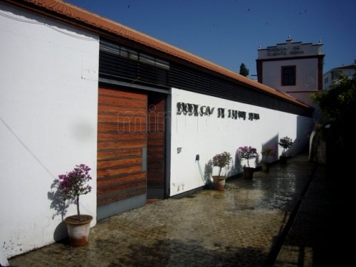 bodegas-fuente-reina_7662202