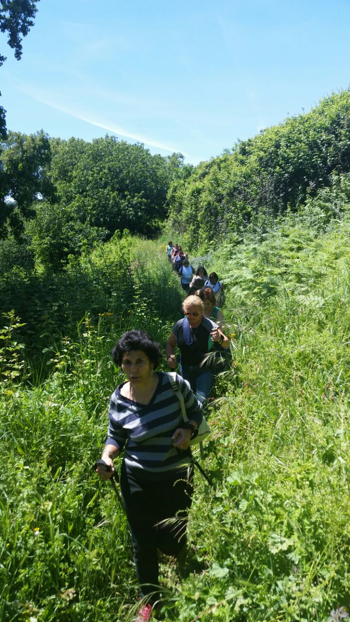 caminatas mujeres Constantina 2015 (8)