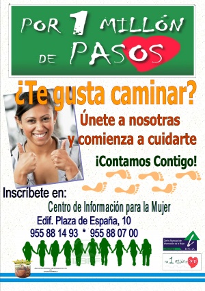 cartel millon pasos 2013