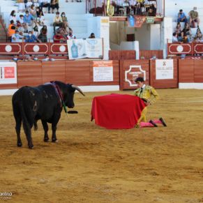 circuito novilladas andalucía constantina-141