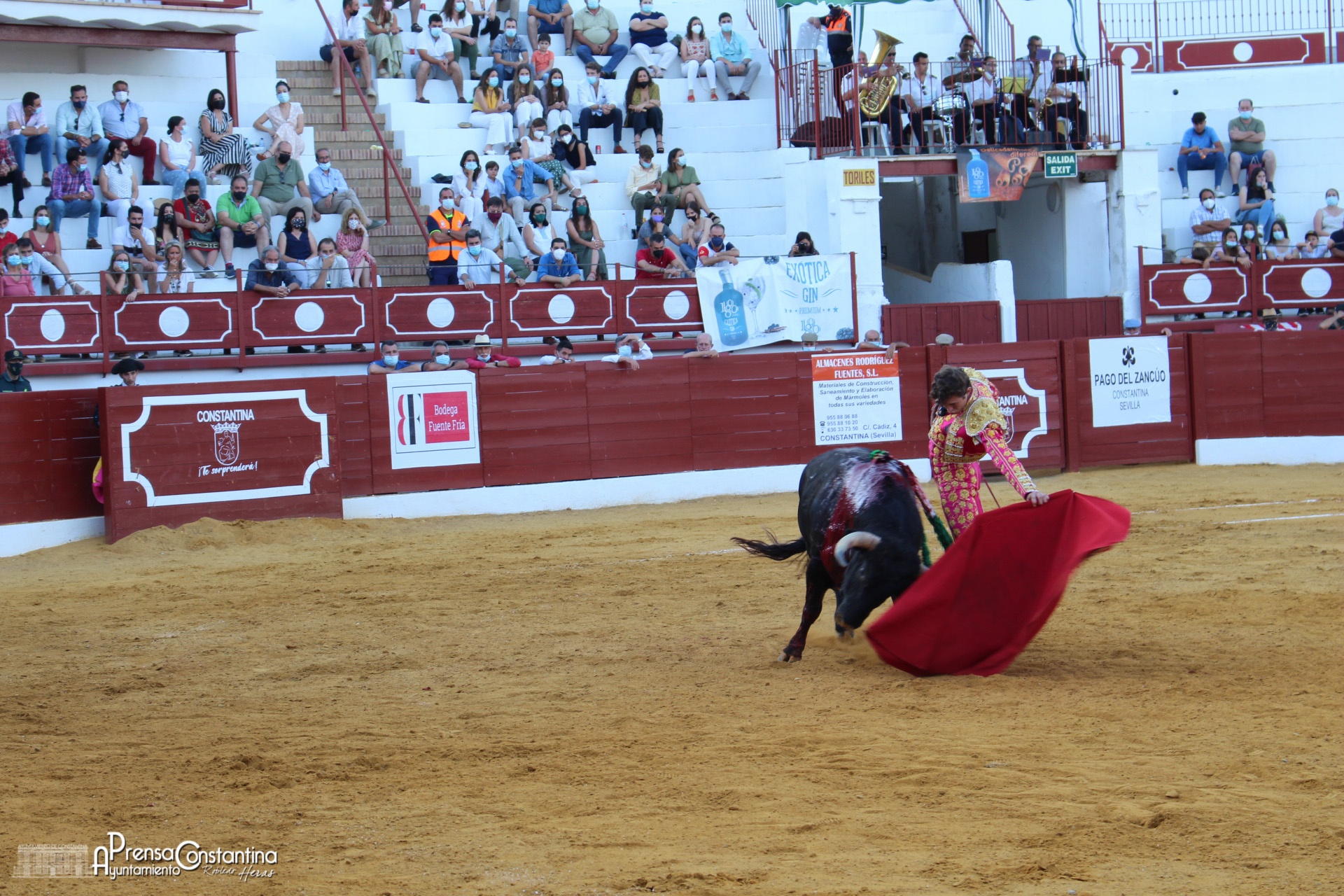 circuito novilladas andalucía constantina-198