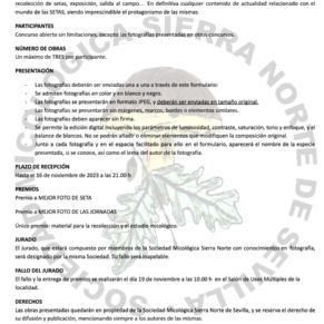 concurso fotografía micológica constantina 2023 BASES
