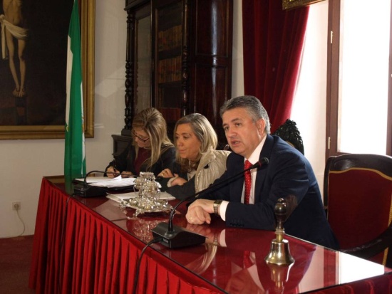 junta local seguridad ciudadana Constantina 2015 (12)